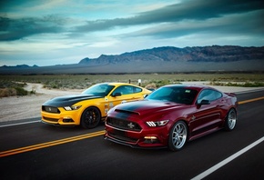 ����, ���������, ������