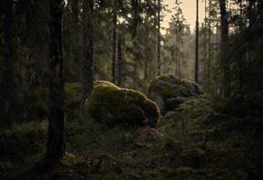 �������, ���, �����, ���, �������