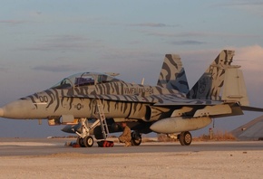 hornet, al asad airbase, Mcdonnell douglas, fa-18d, usa, , 
