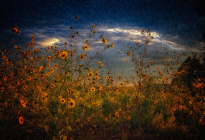 ����, �����, �����, �����, ������, �������