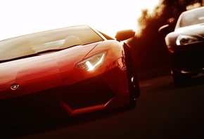 ����������, �����, ���������