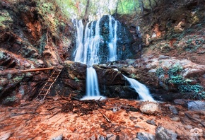 ���, ������, �����, �������, ��������, ���������, Bojkovski