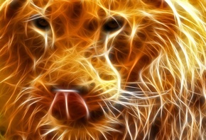 ���, ���