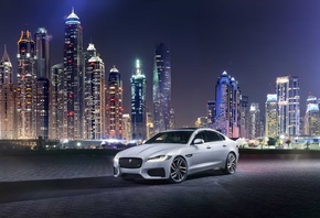 Jaguar, �����, �����, ��������