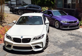 ���, ����, ���������