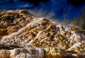 Mammoth Hot Springs, , Wyoming, ,  , , Yellow ...