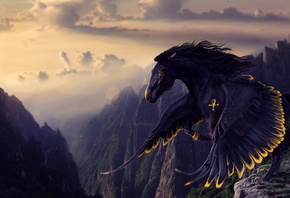 �����, �������