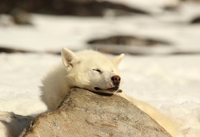 ������, �����, ����, �����, ���