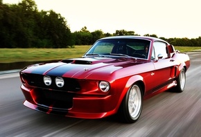 ����, ����, ������, ��������