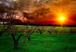 �����, �������, ������� ����