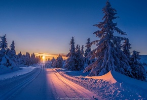 , ,  , , Jorn Allan Pedersen, , , 