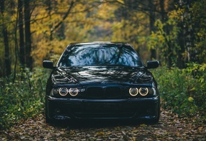 ���, E39, �������, �����