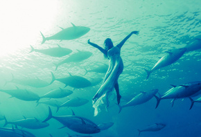 ����, ��� �����, �������, ����, �����