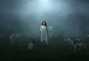 �����, �������, ����, �������