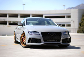 ����, ��������, rs7