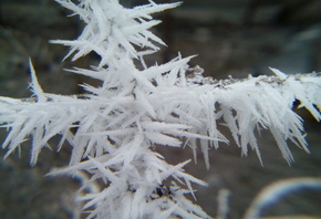 ����, ����