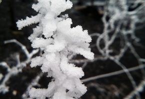 ����, ����