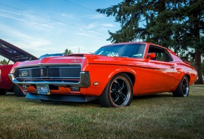 �����, ��������