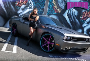 dodge, ��������