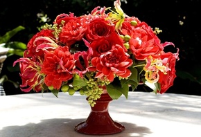 �����, ����, �����