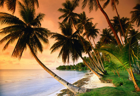 �������, �������, ������, ����, �����