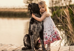 ������, �������, ������