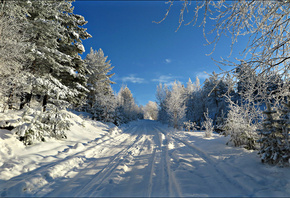 зима, дорога, деревья, иней, снег, небо