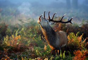 ����, �����, ����������, �����, �����