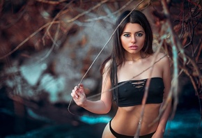 �������, ��������, ������, �����