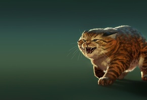 ���, �������, ���