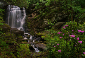 north carolina, ,  , , , , 