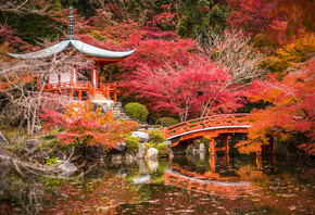 япония, сады, пруд, мосты, осень, пагоды, киото, деревья
