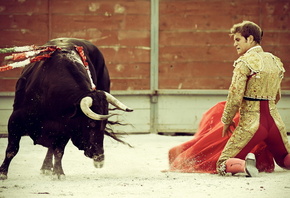 spain, toreador, bull