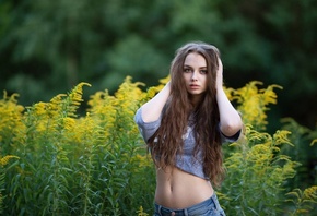 �������, �����, �������, �������