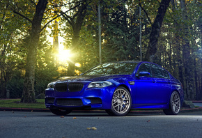 blue, trees, the sun glare, m5, bmw, monte carlo blue, bmw, f10