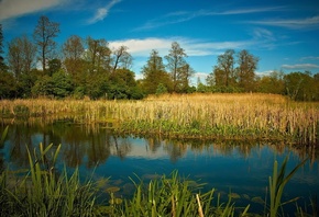 �������, �������, �����, ��������������, ����, ������, ���������