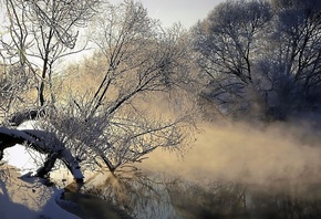 природа, туман, река, дерево, лед, холод, мороз, испарение, рассвет, утро,  ...