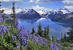 �������, ������, ����, �����