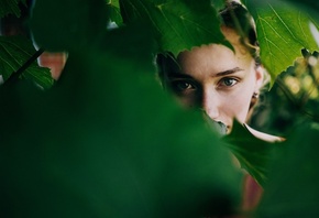 ����, ����, �������, ������