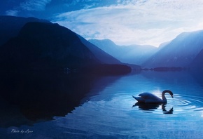 лебедь, озеро, горы, небо, синева, lyon
