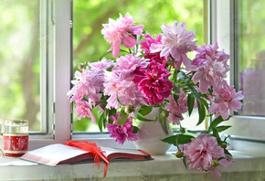 окно, лето, ваза, цветы, пионы, книга, перо, тетрадь, стакан