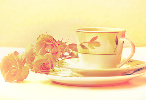 чашка, цвета, розы, Натюрморт, изображение, блюдце, цветы, сервиз, обработка