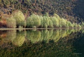 Национальный парк, Скадарское озеро, рассвет.отражение, Черногория, Анастасия Колесникова