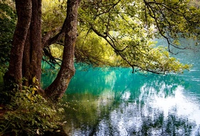 Голубое озеро, Blue lake, деревья, ветви, отражение, Юлия Назаренко
