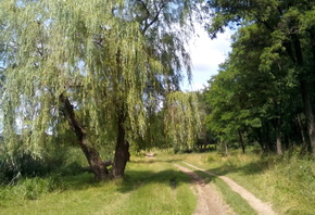 �������, ����������, �������