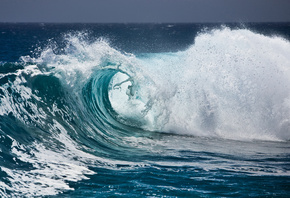 ����, �����, �������