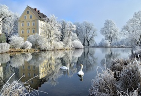 зима, иней, деревья, кусты, птицы, лебеди, пруд, отражение, замок, Германия ...