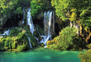 �������, �����, ���, ������, ��������������, �������, ����