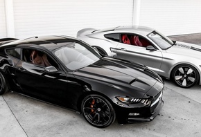 Mustang, ����, ���������