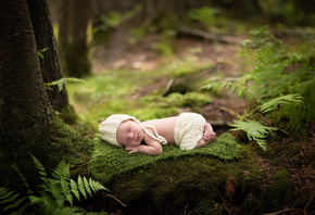 Anneli Rose, ребёнок, младенец, малыш, сон, шапочка, штанишки, одеяло, лес, деревья, мох, папоротник
